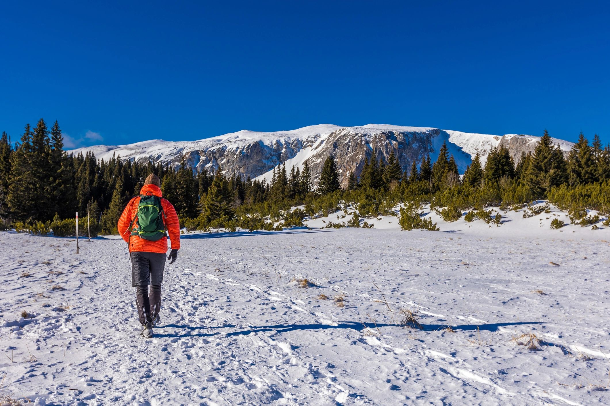 Hiker in bright orange jacket walking through snowy landscape with mountains and evergreen trees, emphasizing outdoor adventure and preparation for hiking trips.