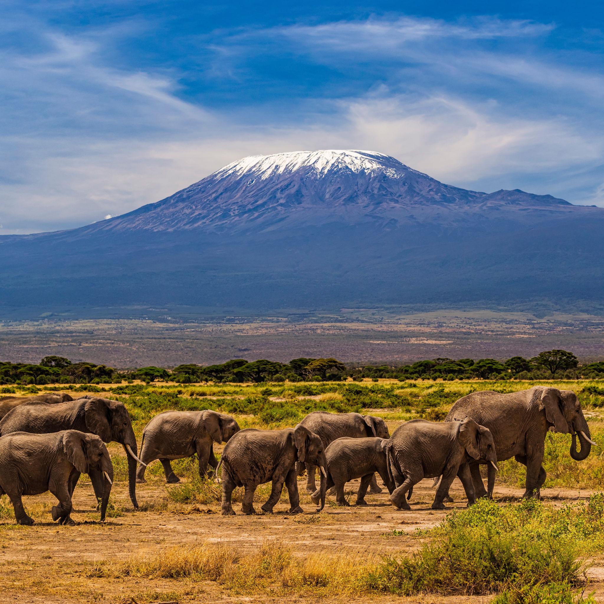 Kilimanjaro vs Aconcagua:&nbsp;which 7-summit&nbsp;should you climb first?