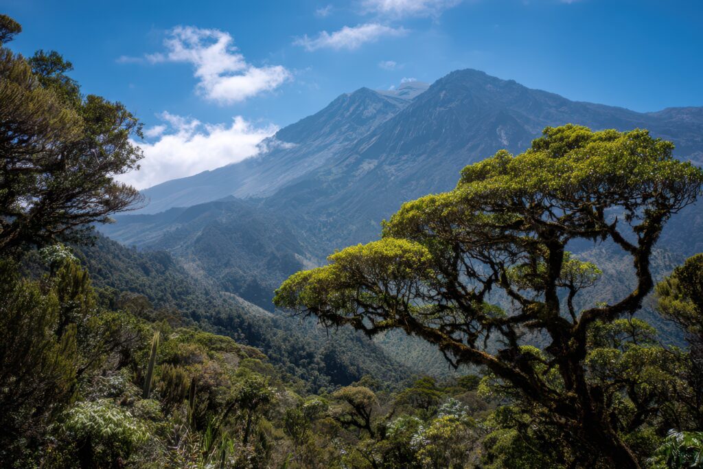 Mount Meru in Tanzania surrounded by lush green forests and dramatic mountain ridges under a blue sky.