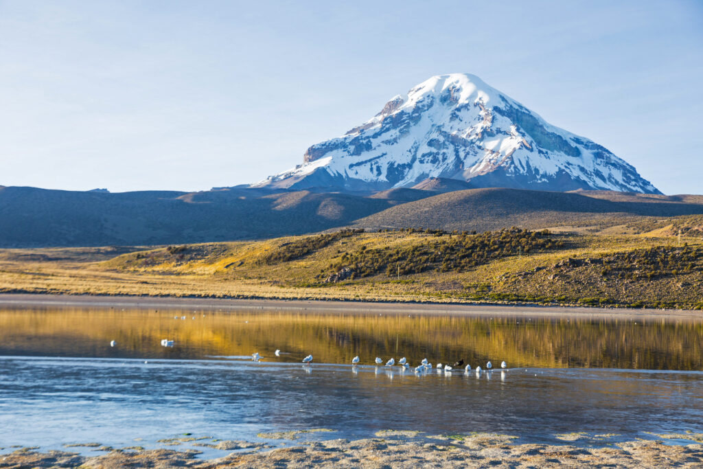 Sajama volcano towering over Lake Huaynacota in Sajama National Park, Bolivia, with reflections in the water and surrounding grasslands.
