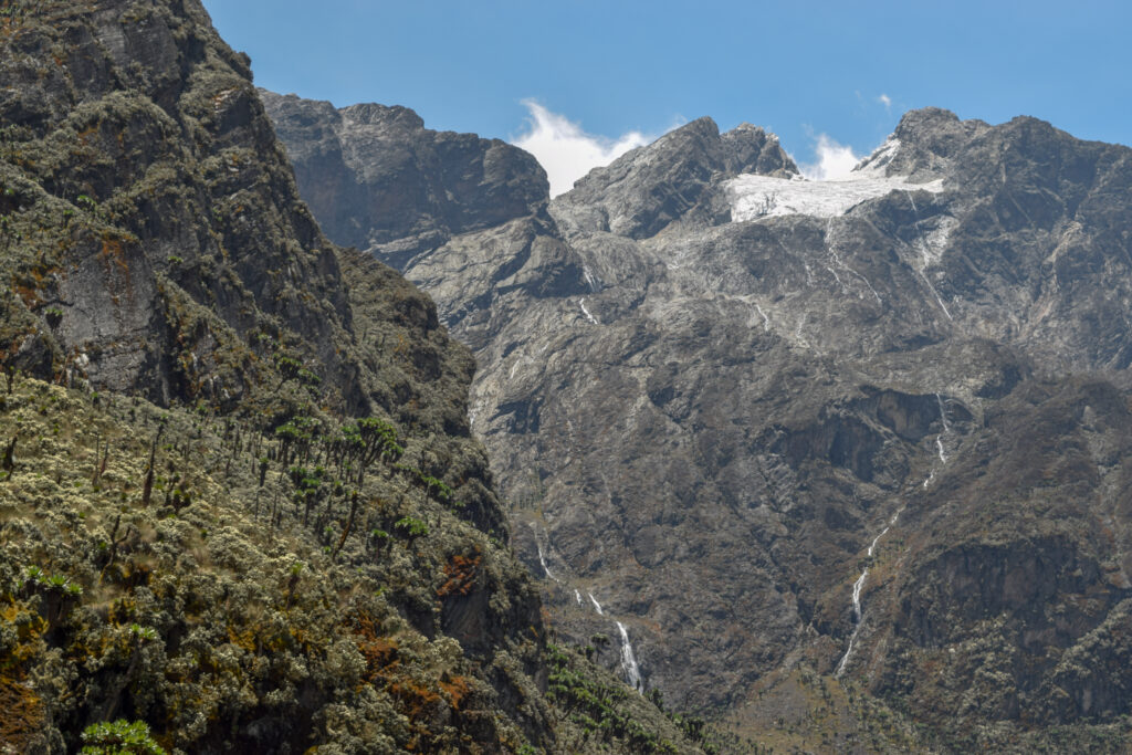 Majestic view of Mount Stanley (Margherita Peak) in the Rwenzori Mountains, showcasing rugged cliffs, glacial features, and lush Afro-alpine vegetation.