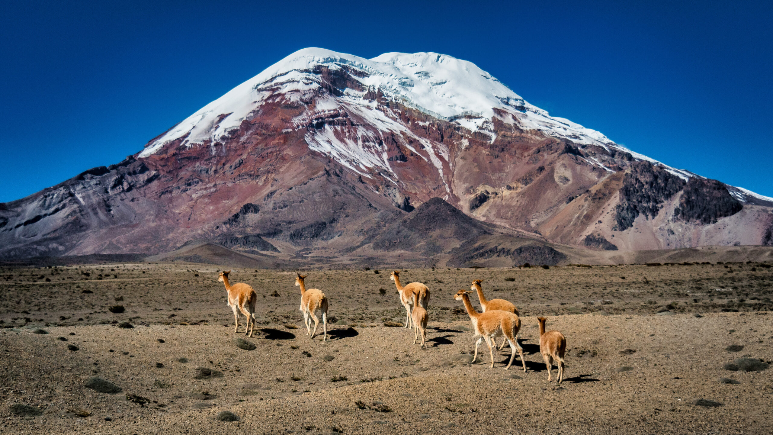 Chimborazo 6263m Ecuador highest peak Andes equatorial bulge farthest point Earth's centre Whymper Summit Thielmann Route Higher Refugio 5000m dry season June July August