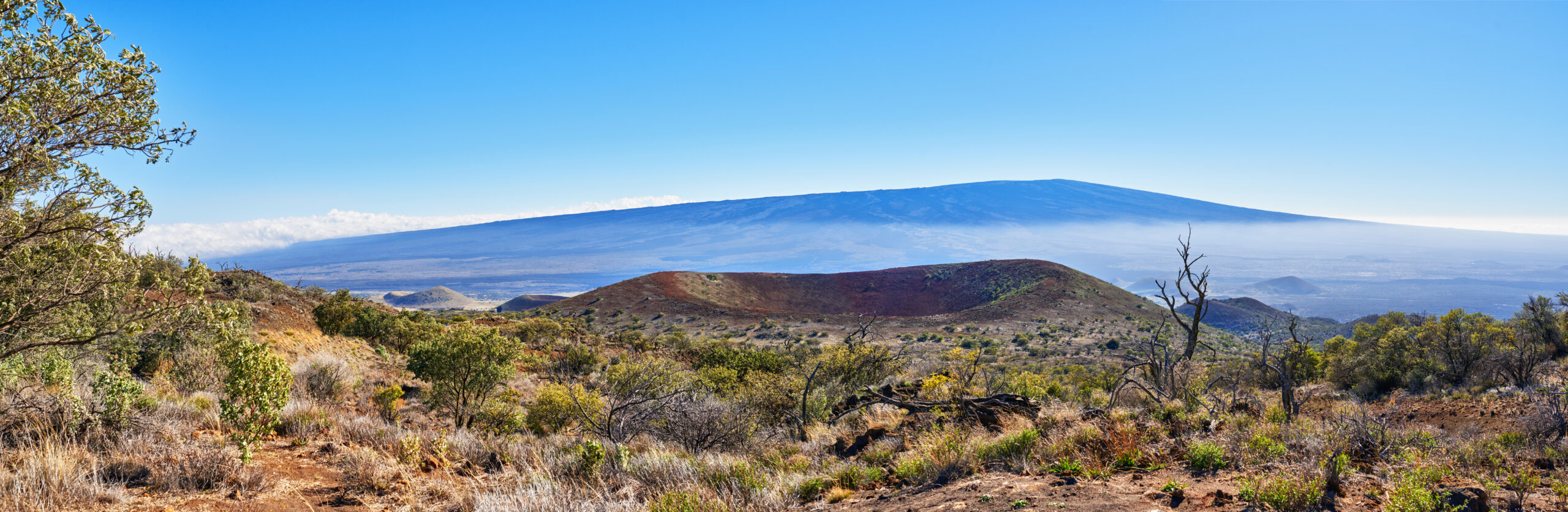 Mauna Loa on the Big Island of Hawaii — the world's largest active volcano by volume at approximately 75000 cubic kilometers showing the broad gently-sloping shield volcano form covering roughly half of Hawaii Island with the Mokuʻāweoweo summit caldera at 4169 meters elevation — last erupted 27 November 2022 for 16 days ending a 38-year quiescence