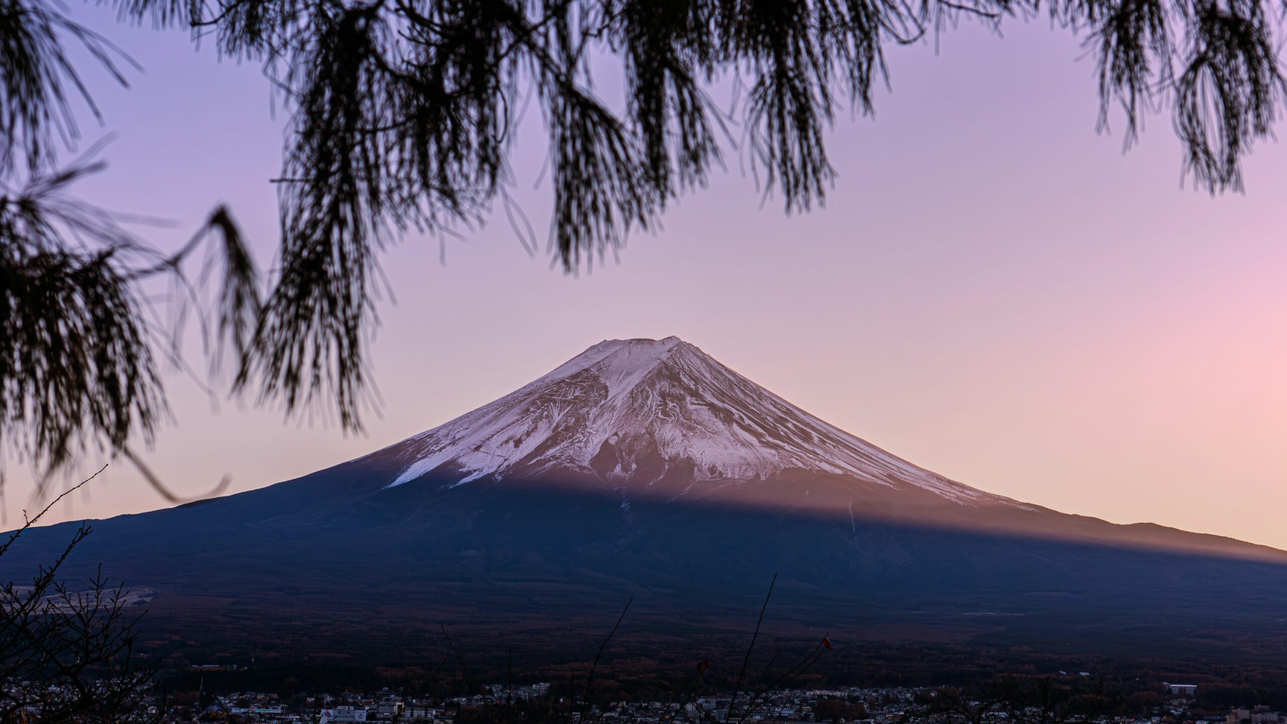 Mount Fuji at sunset, snow-capped peak, framed by pine branches, showcasing Japan's iconic mountain for climbers and tourists.