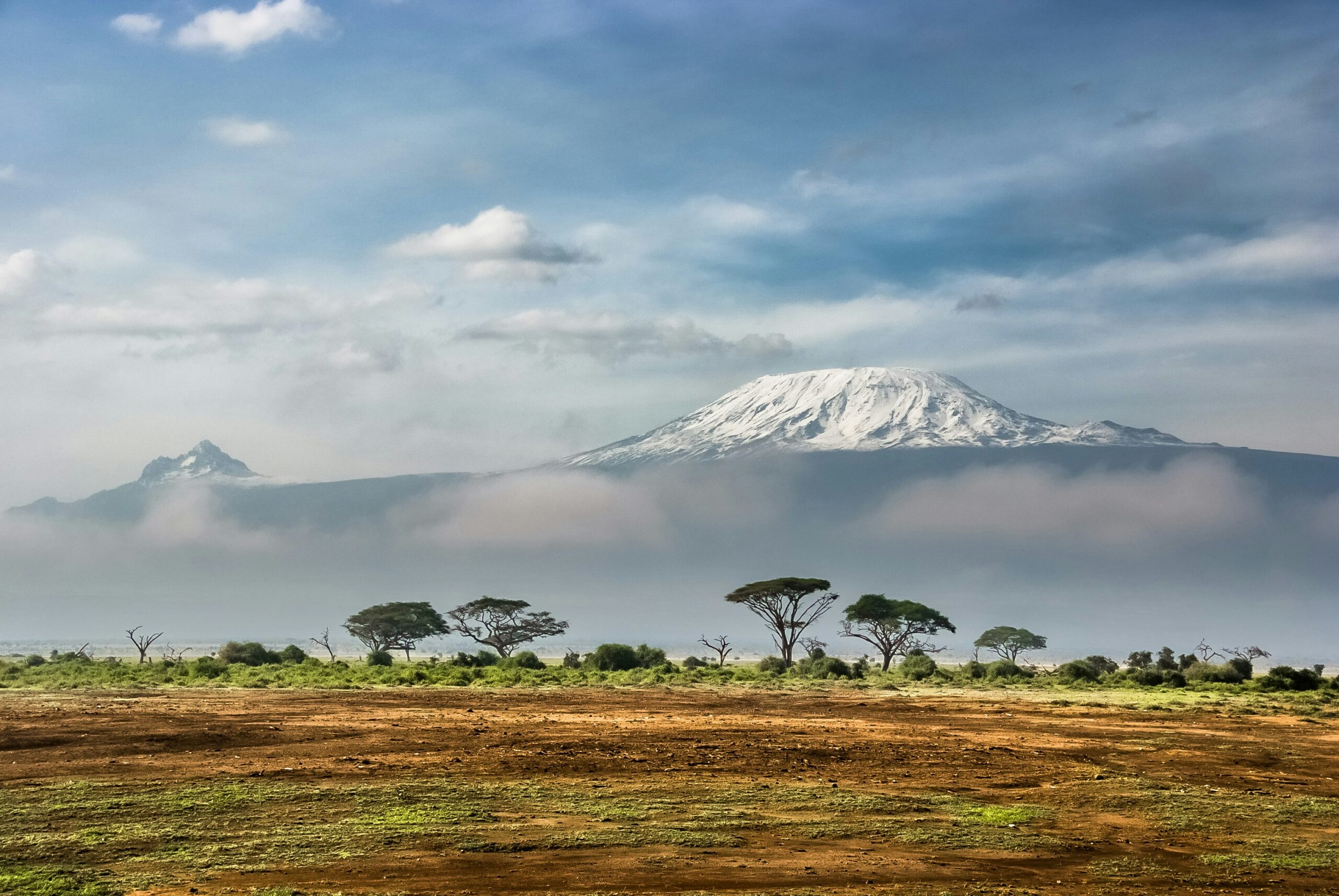 Mount Kilimanjaro towering in the background, surrounded by lush green vegetation and acacia trees, under a cloudy sky, representing Africa's highest peak and a popular climbing destination.
