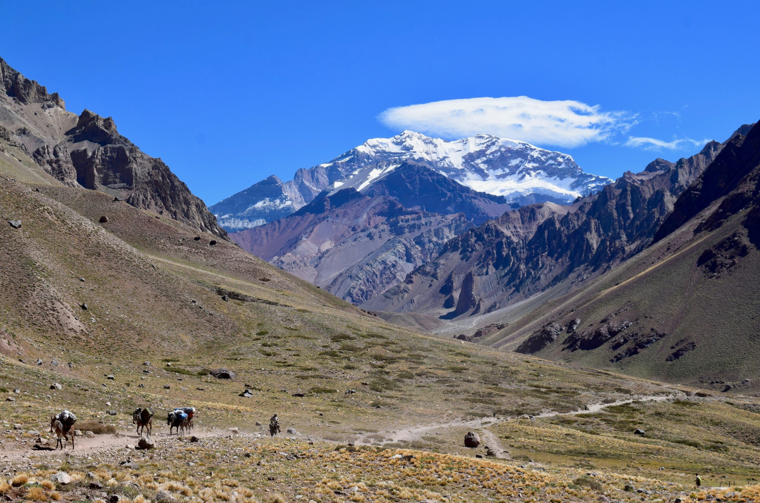 Aconcagua mountain range with climbers and pack animals traversing a rocky trail in a high-altitude landscape.