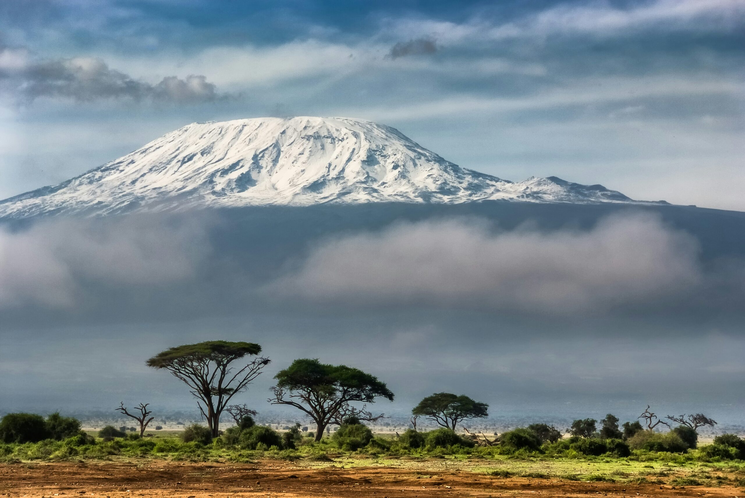 Mount Kilimanjaro with snow-capped peak and surrounding greenery, representing an iconic climbing destination and conservation area for climbers.