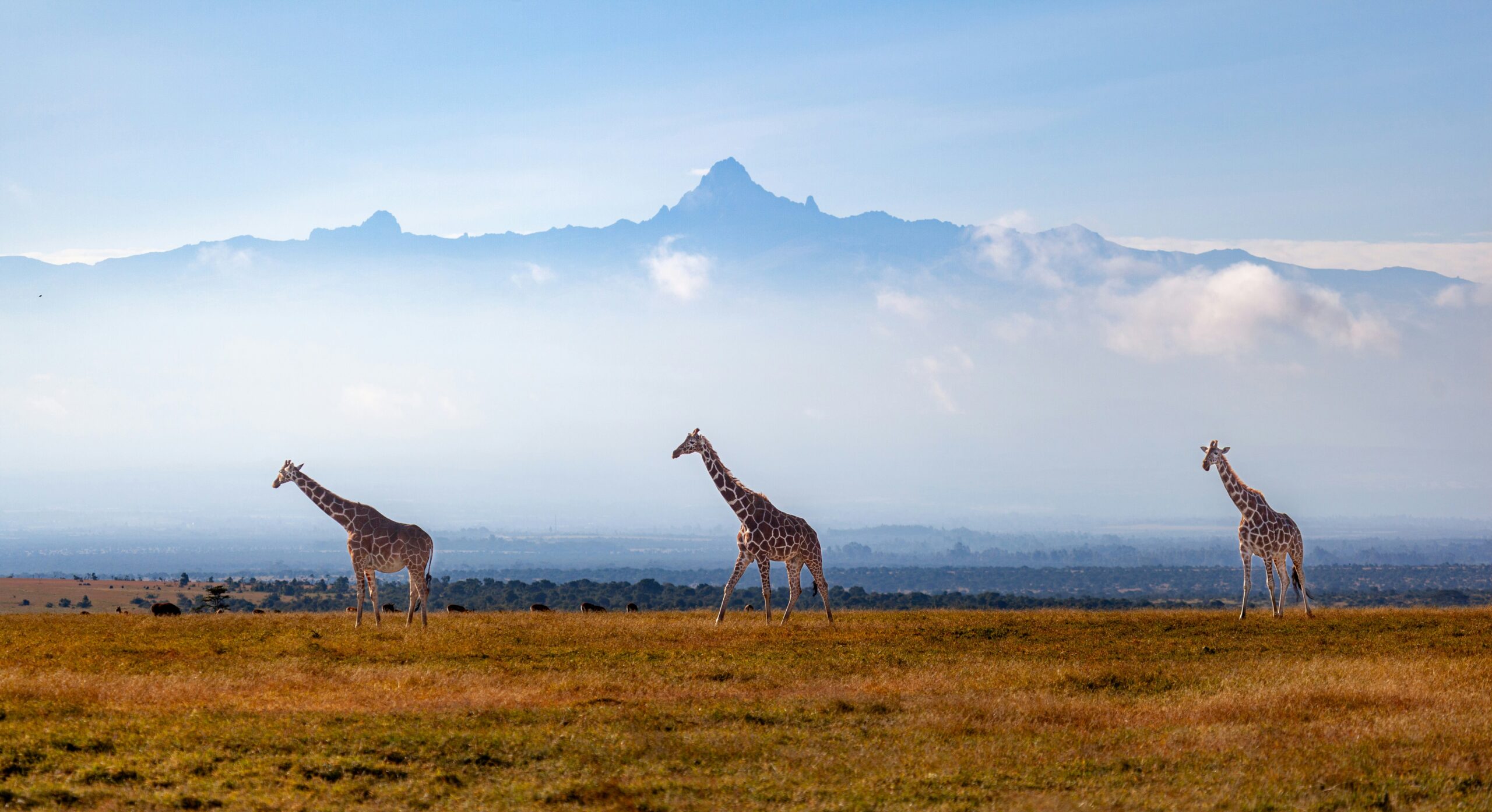 Mount Kenya