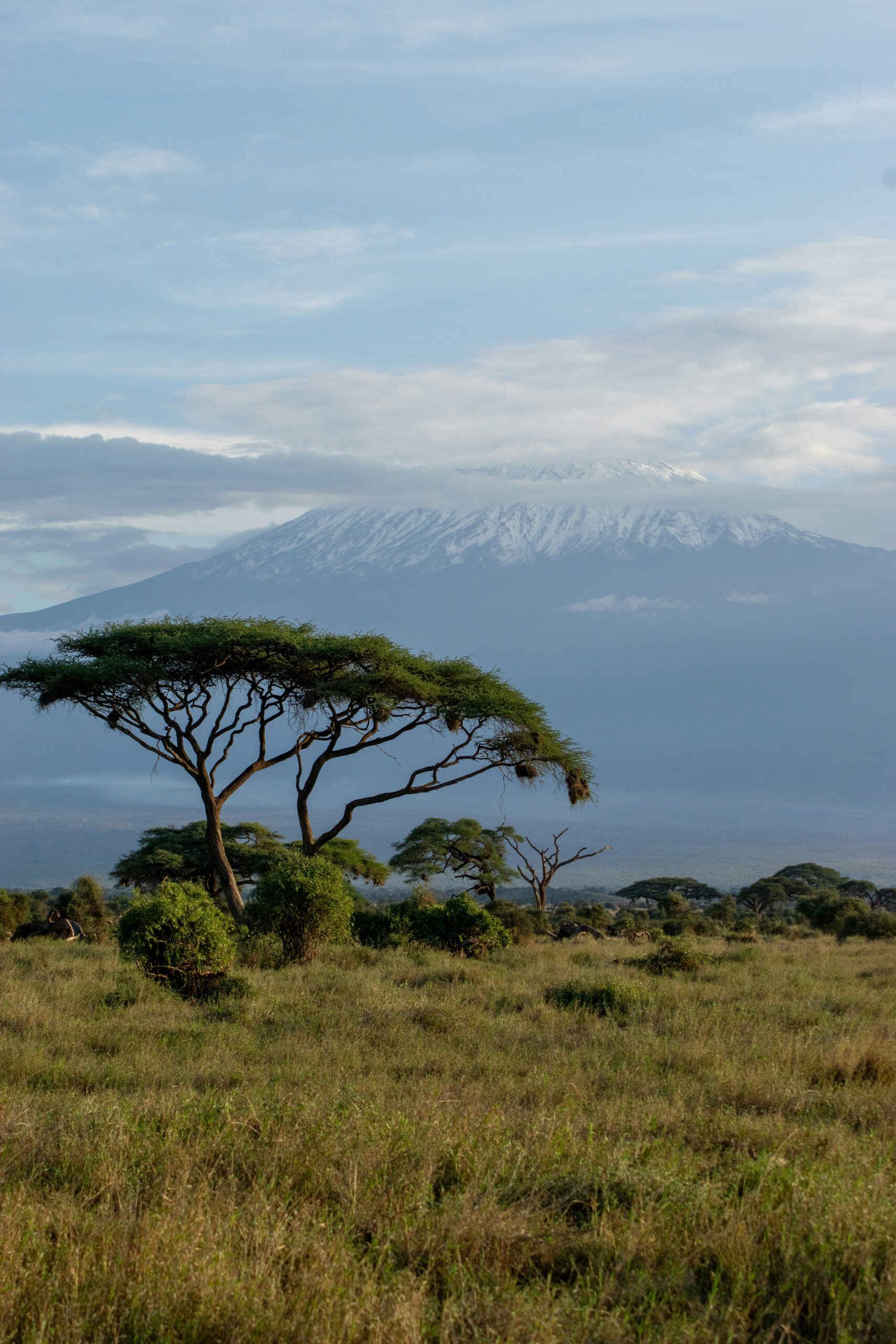 Mount Kilimanjaro 