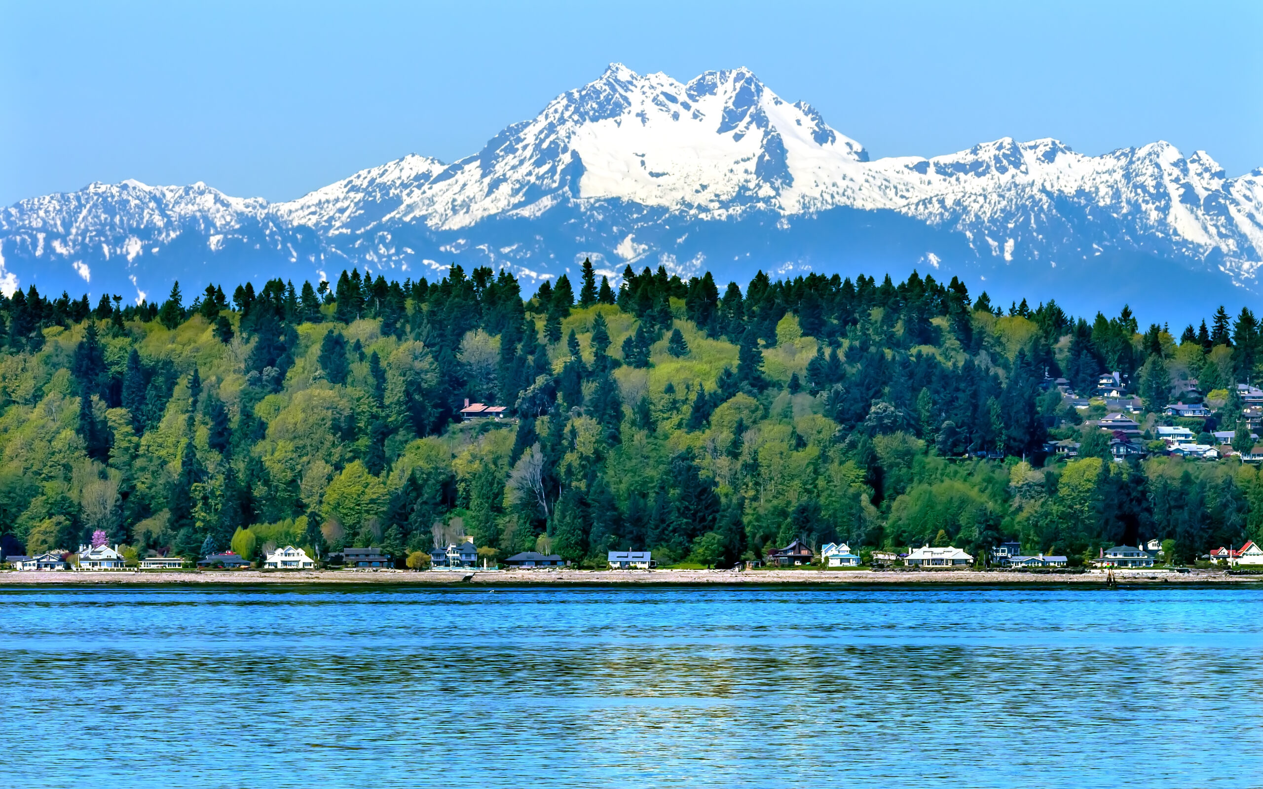 Mount Olympus rising above the Hoh Rainforest in Olympic National Park, Washington State — the highest peak in the Olympic Mountains and the most remote major summit in the Pacific Northwest