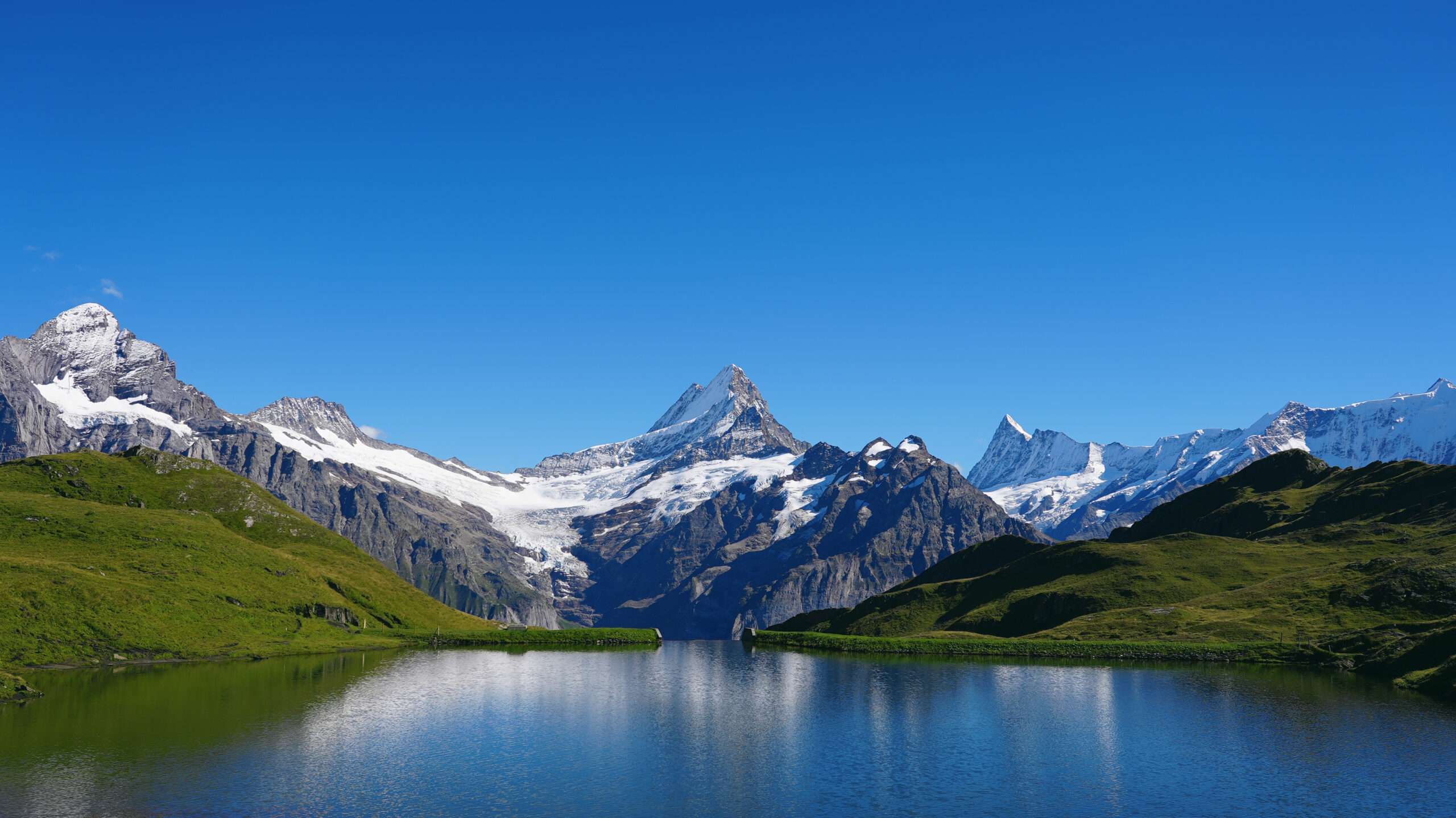The Schreckhorn 4078m in the Bernese Alps showing the conditions that drive the AD+ gear requirements including the exposed ridge climbing the glacier approach and the mixed rock and snow terrain on the southwest ridge route