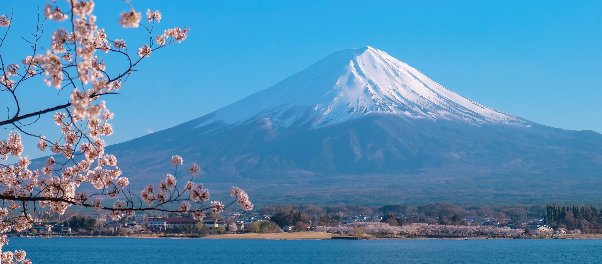 Unforgettable Views Await on Your Mount Fuji Climb