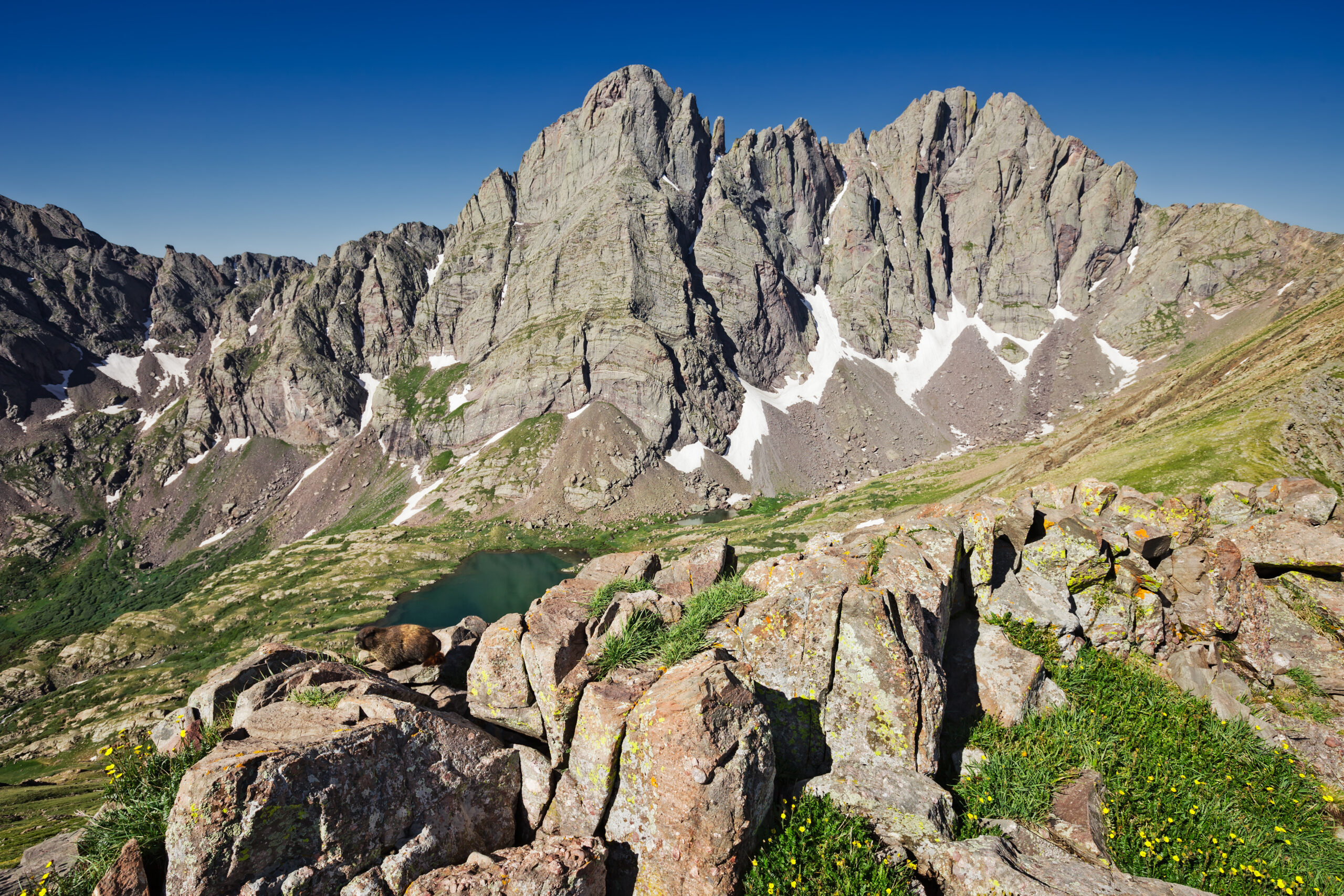 Crestone Peak at 14294 feet in the Sangre de Cristo Range Colorado showing the dramatic conglomerate rock summit and the famous Red Gully couloir route with twin summits visible during 2026 summer climbing season