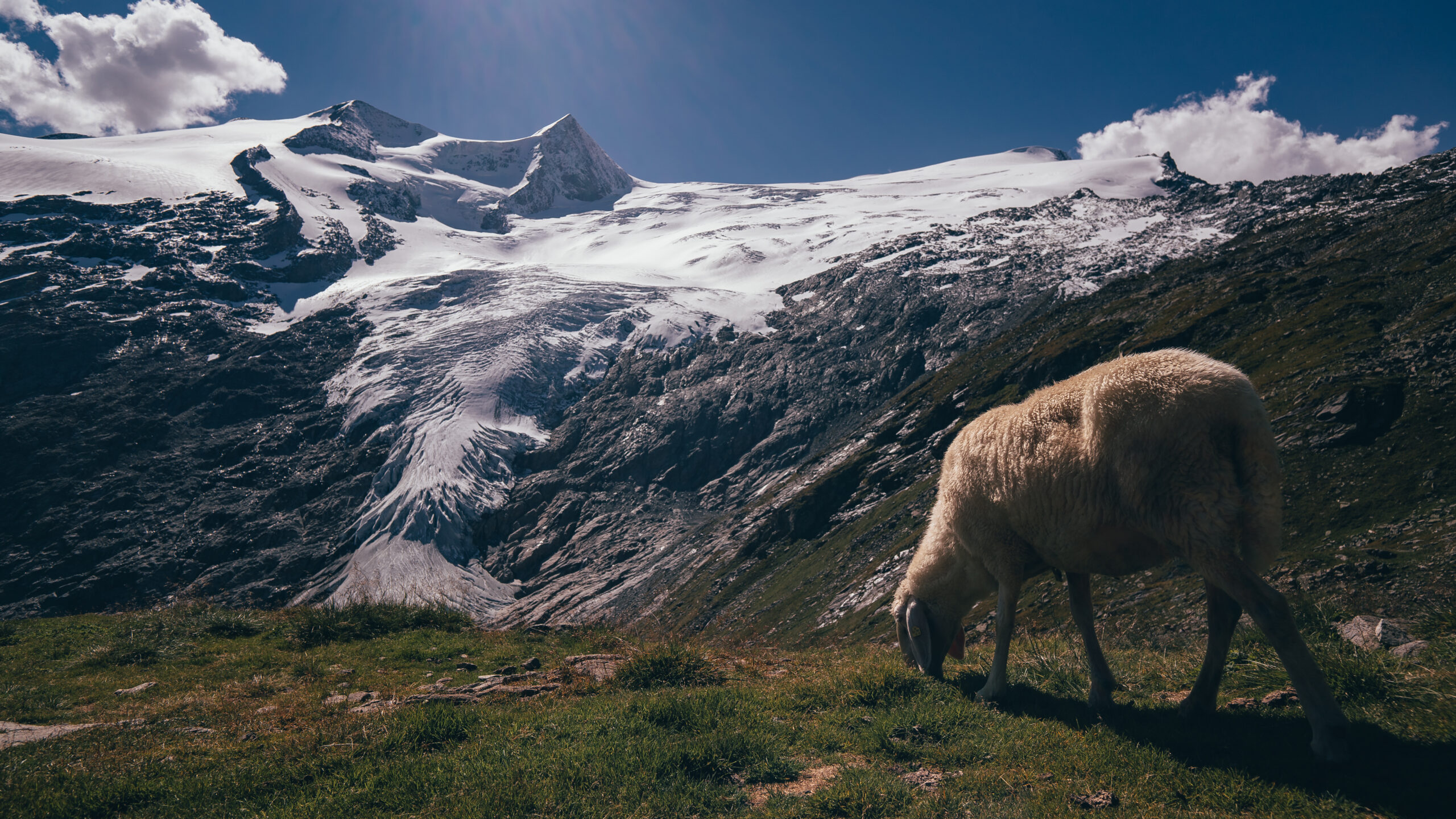 Grossvenediger at 3657 meters showing the iconic glaciated summit dome with the famous Grossvenediger summit cross visible on the peak in Austria Hohe Tauern range during 2026 summer climbing season Venediger Group