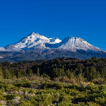 mount shasta
