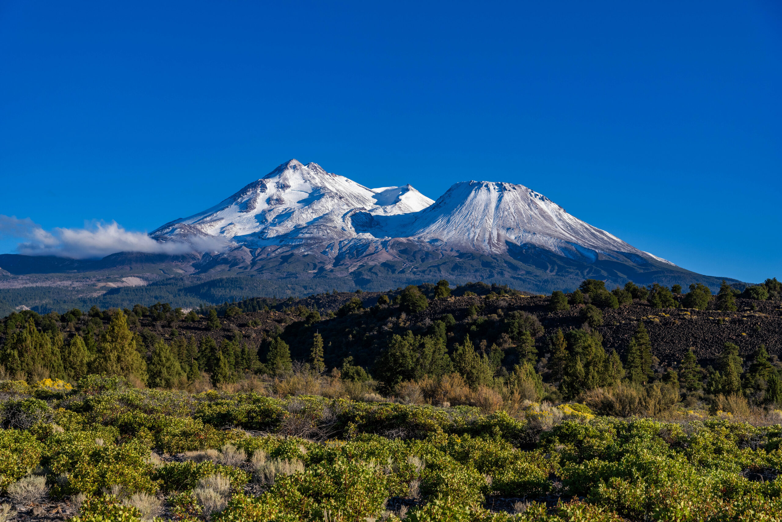 Mount Shasta vs Mount Hood:&nbsp;Picking Your Cascades Objective