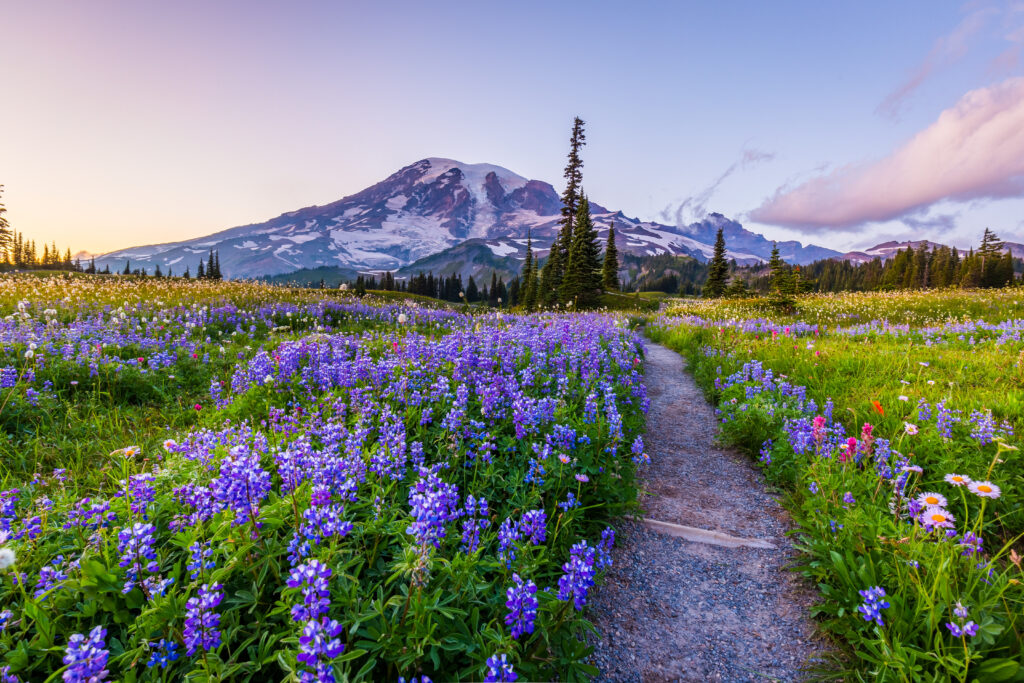 Mount Rainier