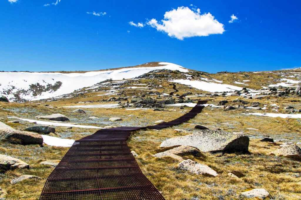 Mount Kosciuszko