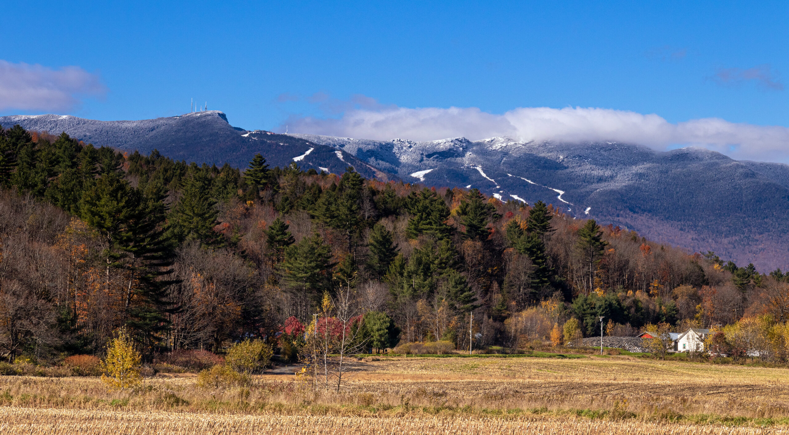 Camel’s Hump mountain Vermont, alpine tundra summit and forested slopes.
