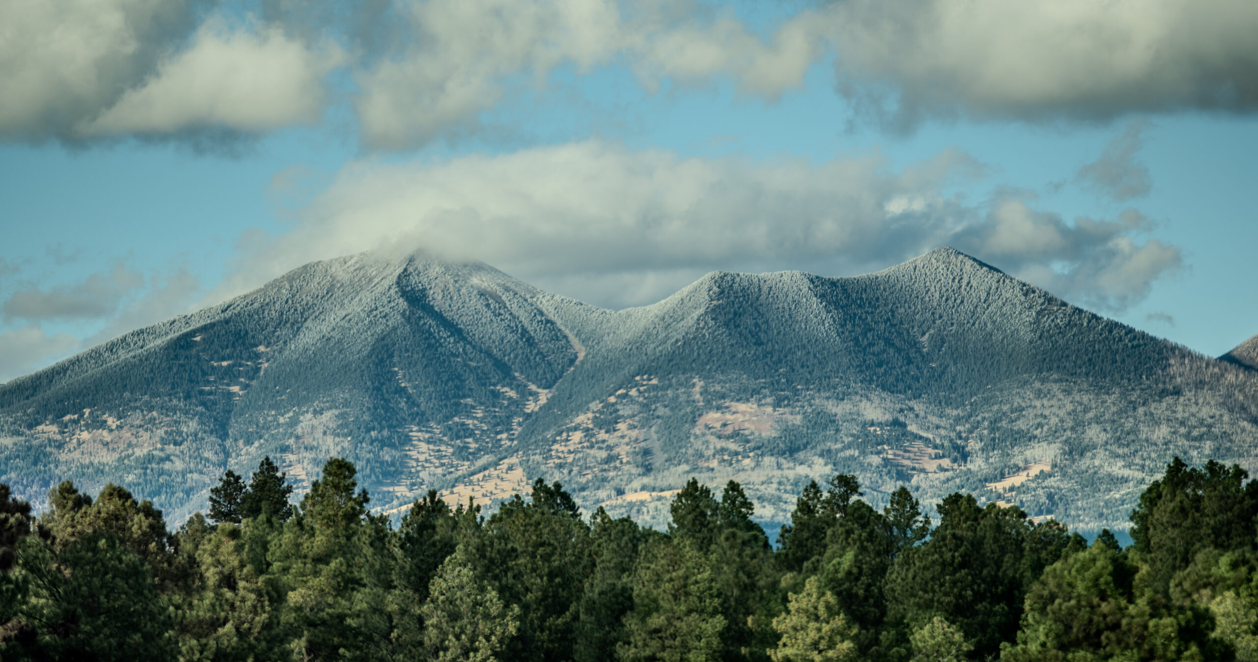 Snow-covered Mt. Lemmon peak and Sky Island ecosystem in Arizona mountains.