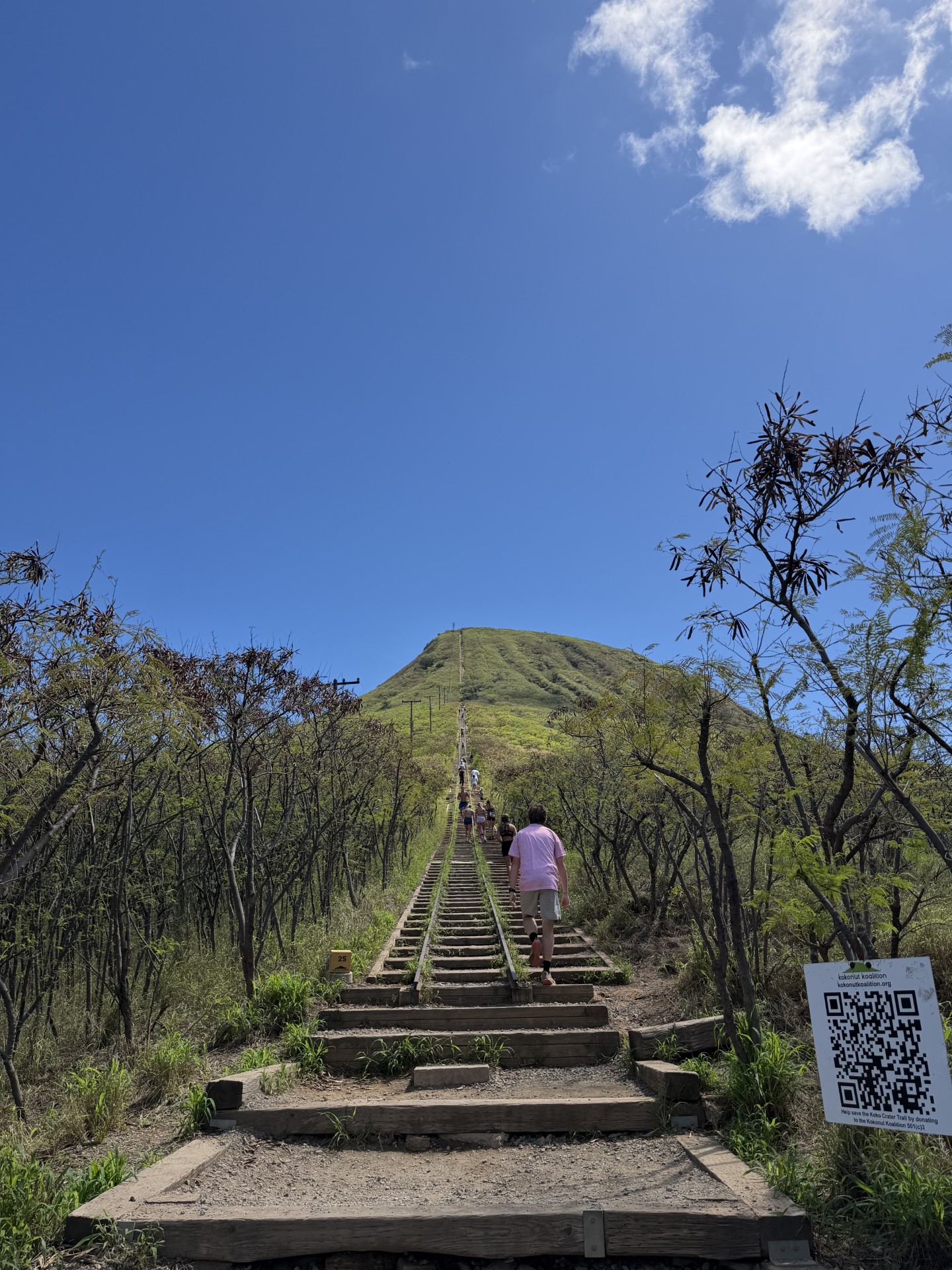Hikers ascending the wooden railway ties of the Koko Crater Tramway under a blue Oahu sky