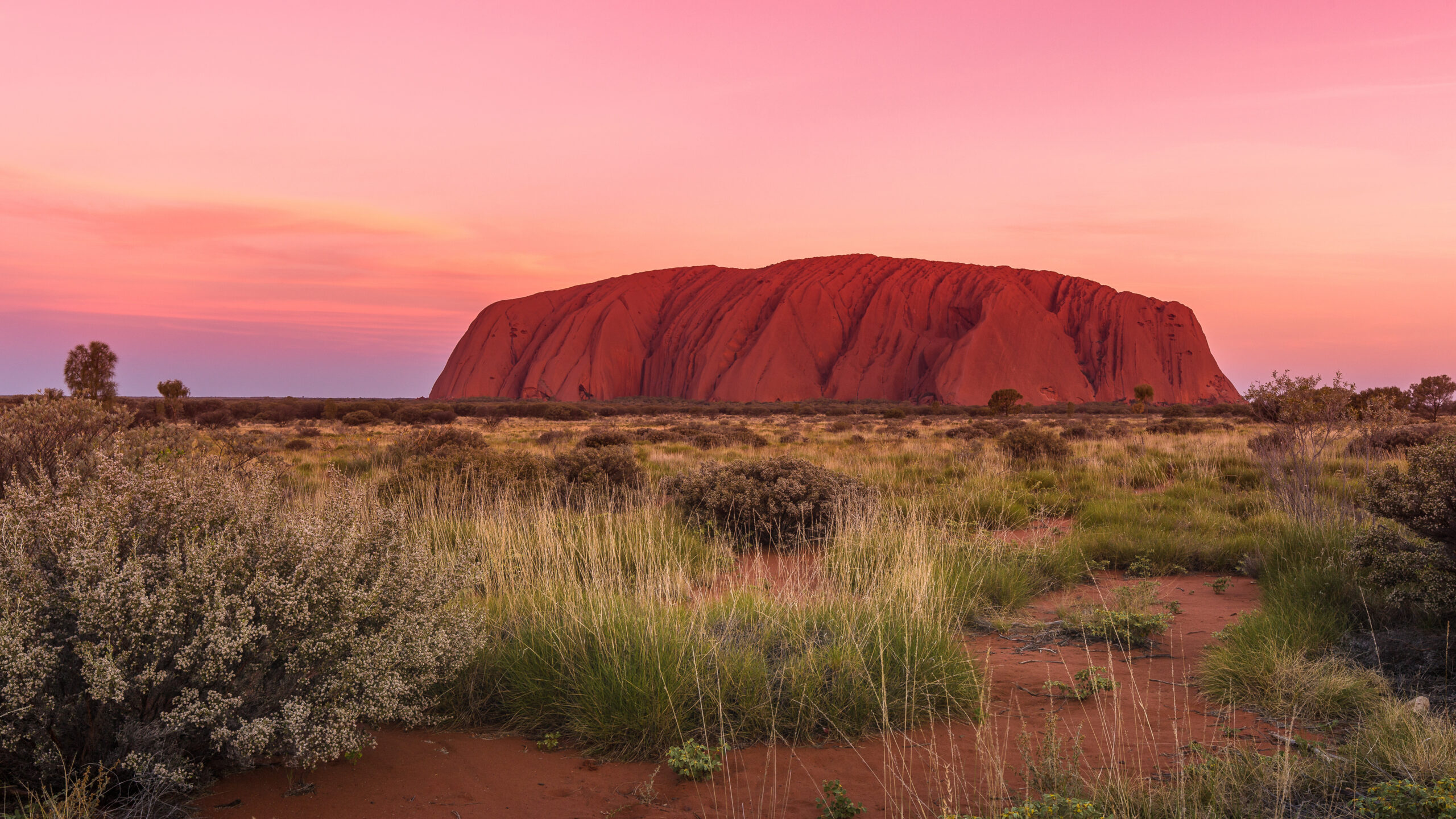 Uluru glowing deep red at sunset above the Central Australian desert